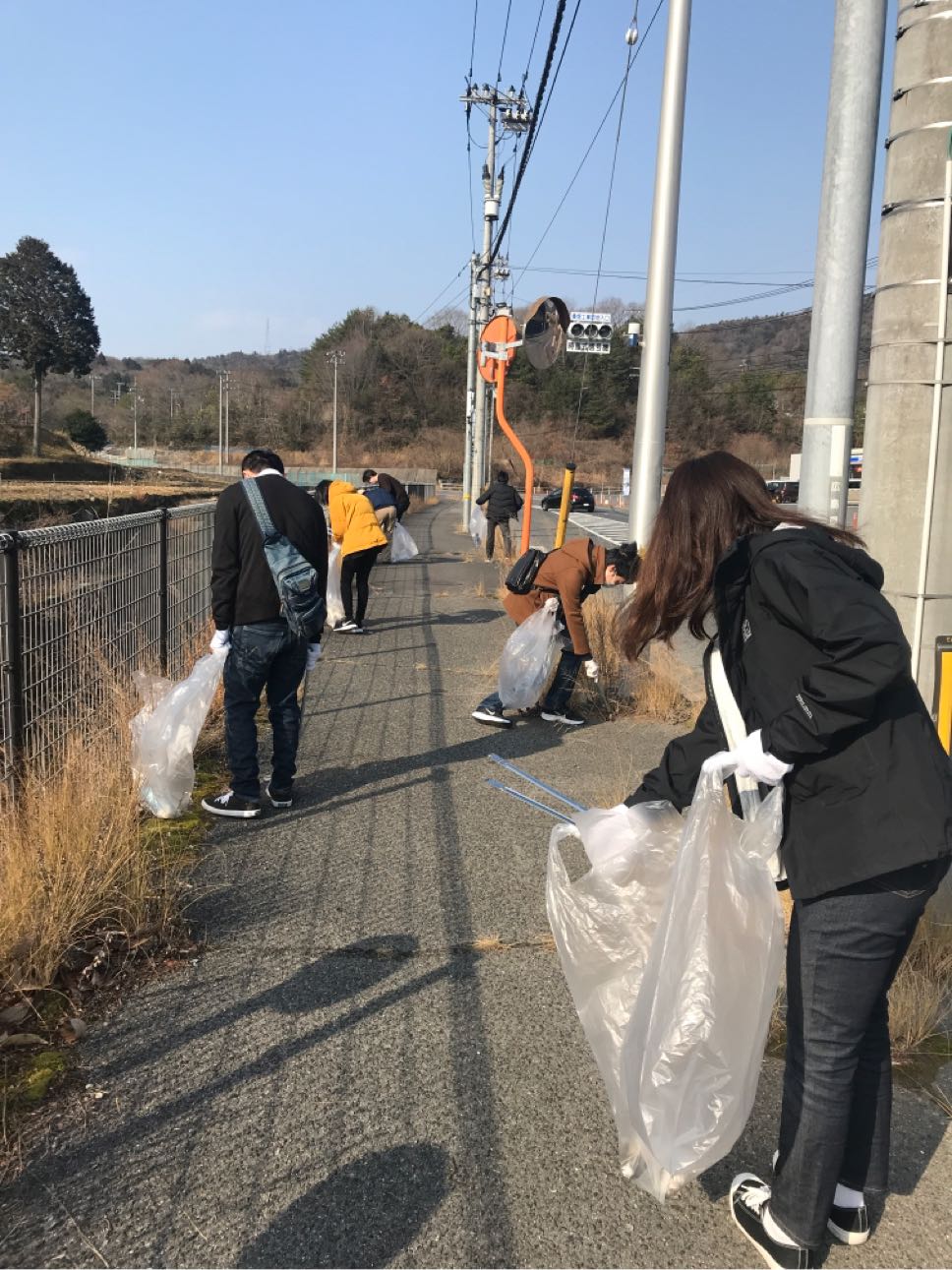 Cleanup Activity Around the Plant