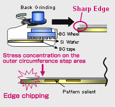 Standard Process